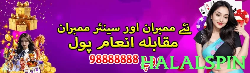 Halalspin Pakistan - 3